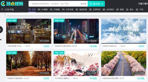 找亮点爆料视频素材,独家爆料素材深度解析